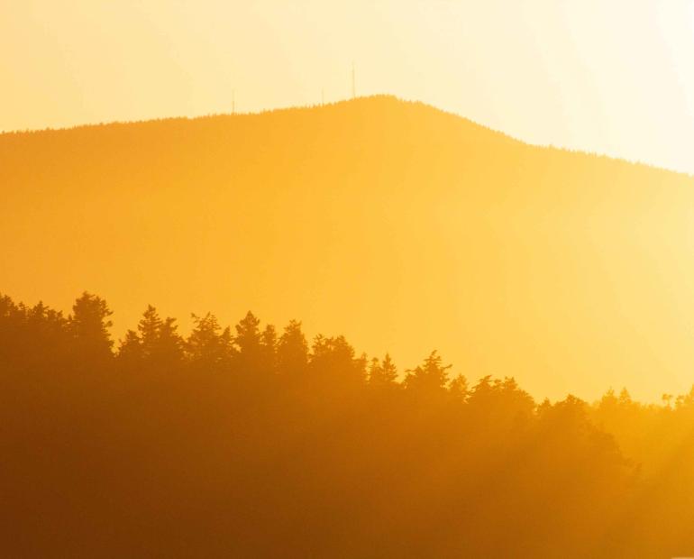 A forest and a mountain in the back, seen through an orange light indicating hot weater.